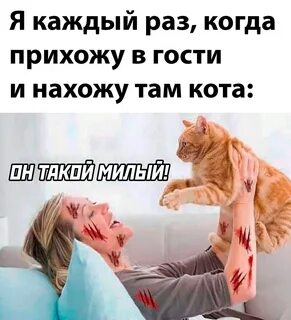 Приколы 2022