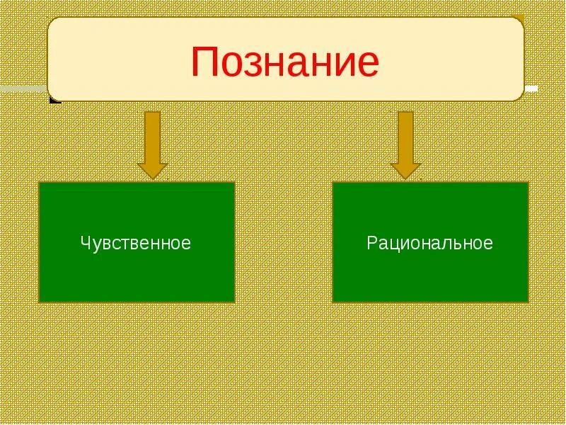 Познание ощущение восприятие представление. Ощущение восприятие представление понятие суждение умозаключение. Ощущение восприятие представление суждение умозаключение. Чувственное познание ощущение восприятие представление.