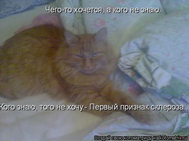 Хочется есть но не знаю что. Чего-то хочется а кого не знаю. Что то хочется а чего не знаю картинки. Хочу не знаю кого. Че гото хочется а чего Ре знаю.