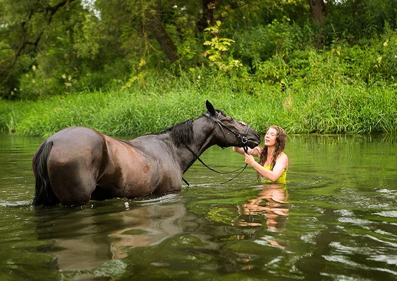 Чудесный витязь коня из реки