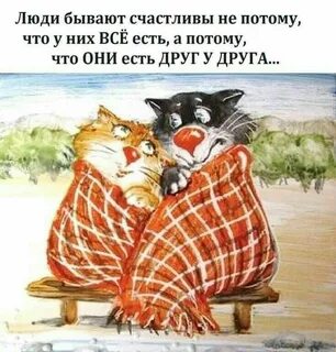 Коту на пару слов