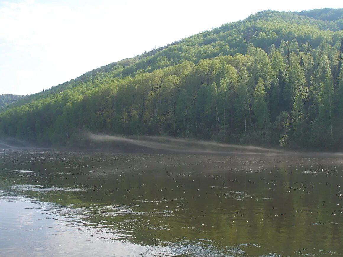 Погода в рыбное рыбинского красноярского. Рыбное Красноярский край. Поселок Рыбное Красноярский край. Тайга река Красноярск. Авда Красноярский край.