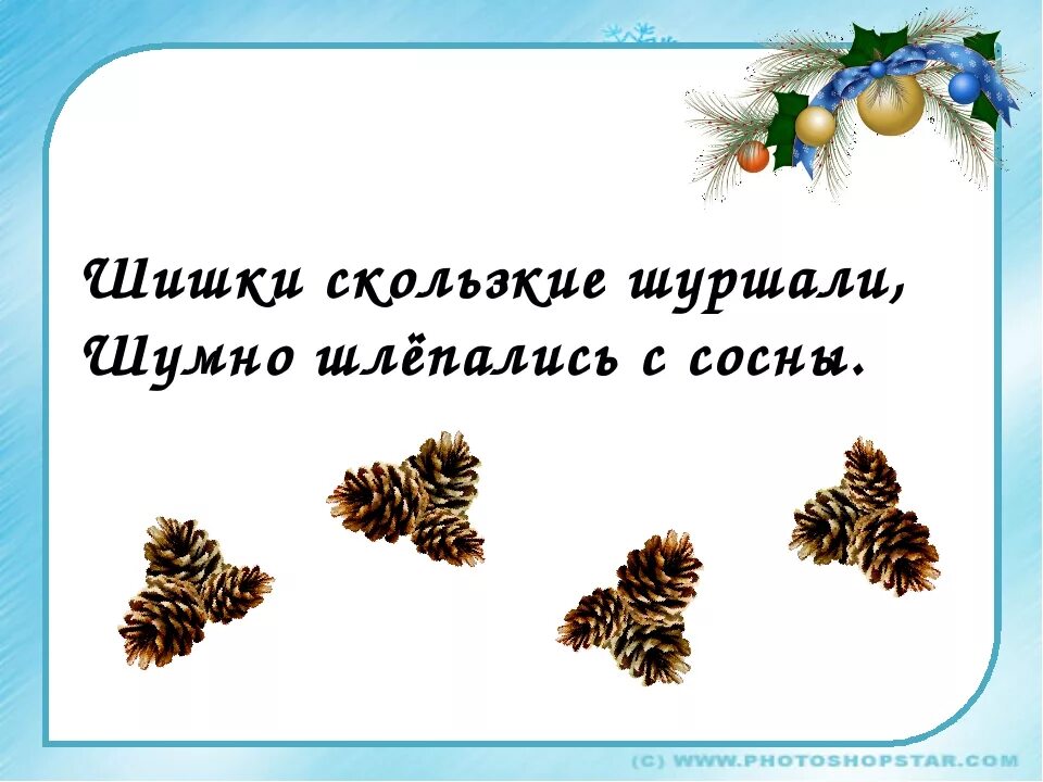 Шишки скользкие шуршали. Шумно шлепались с сосны шишки. Скороговорка про шишки. Скороговорки про шишки для детей. Читать рассказ шишки