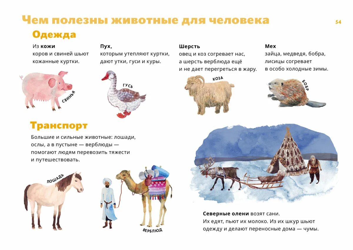 Какие животные полезные для человека