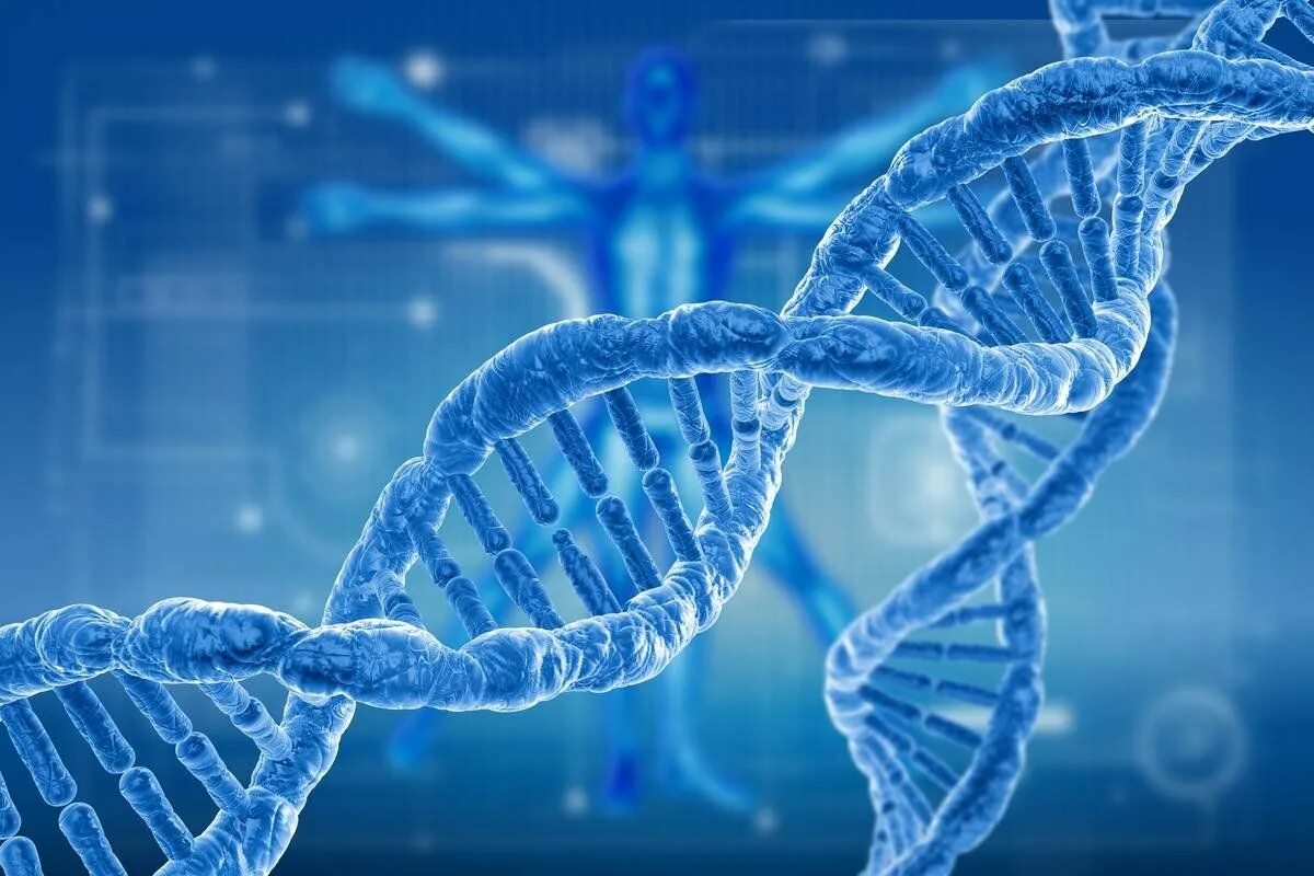 Ген и генетика. Геном человека. ДНК человека. Генетика ДНК.