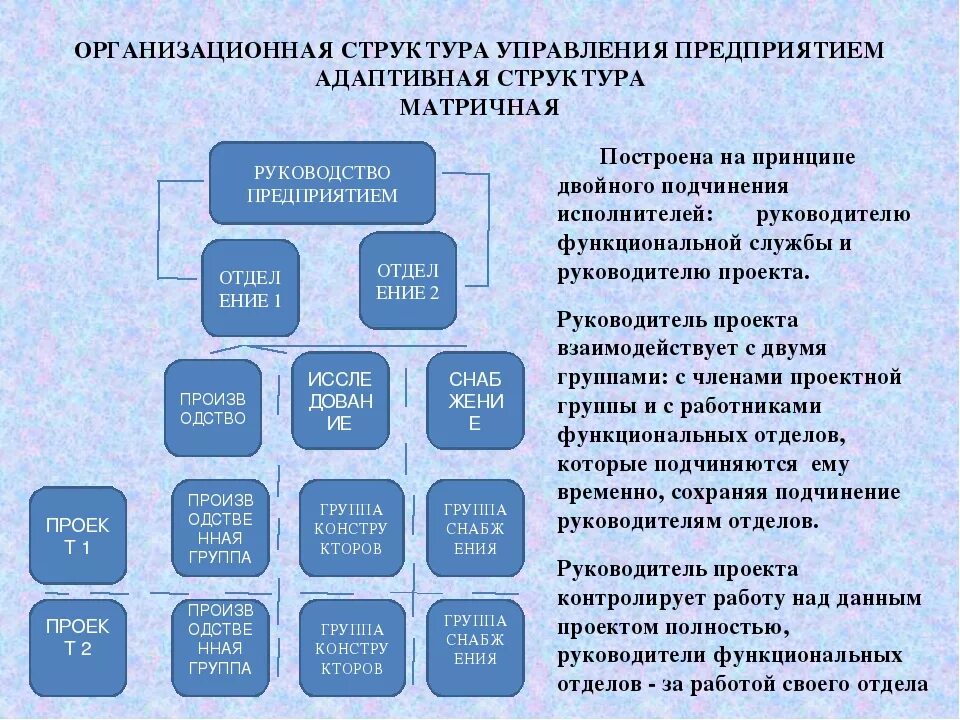 Формы организации менеджмент. Организационная структура управления фирмой. Структура менеджмента на предприятиях. Структура управления предприятием. Структуры организации в менеджменте.