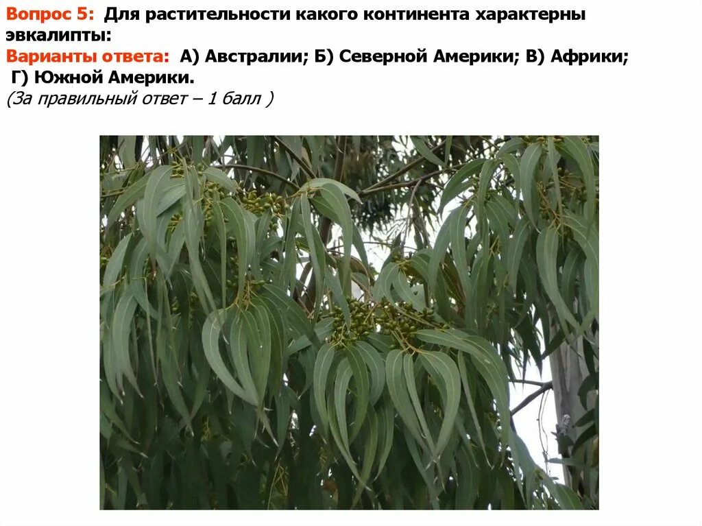 Растительность какое число
