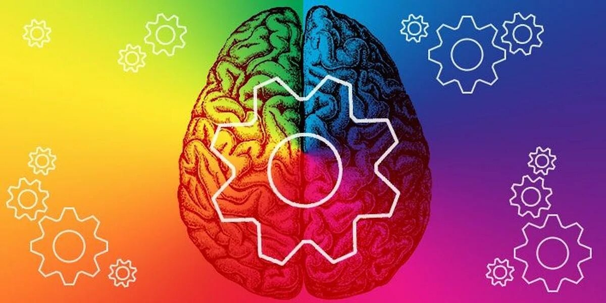 Разноцветный мозг. Мозг психология. Творческое полушарие мозга. Креативный мозг.