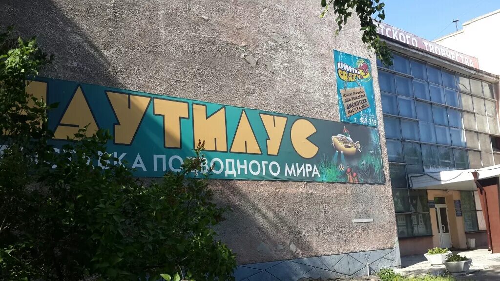 МБУДО "СД(Ю)ТТ", ИНН 3127005164