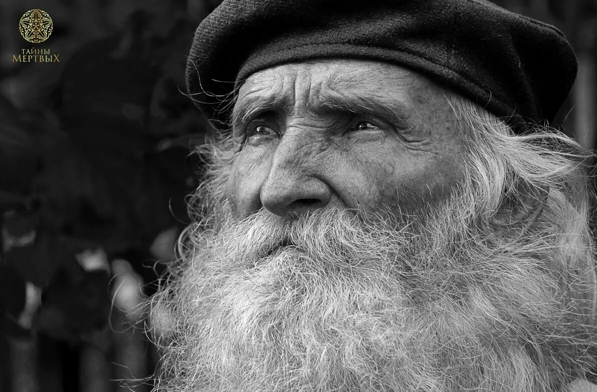 Умный старец. Мудрецы черный белый. Старк борода. Мудрые глаза. Мудрецы черный белый.