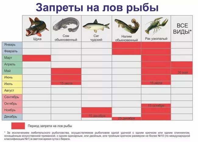 Какую рыбу сейчас можно ловить. Запрет ловли рыбы. Когда начинается запрет ловли рыбы. Запрет на ловлю щуки. Запрещённые виды ловли рыбы.