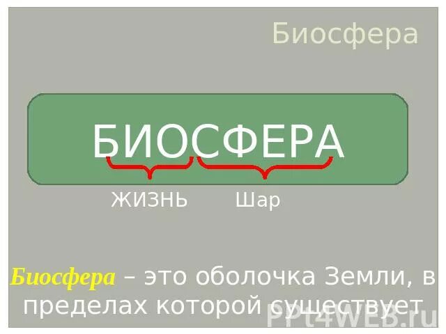 Биосфера таблетки. Биосфера логотип. Прайс-лист аптеки Биосфера. Биосфера Усть Каменогорск интернет магазин. Биосфера Павлодар.