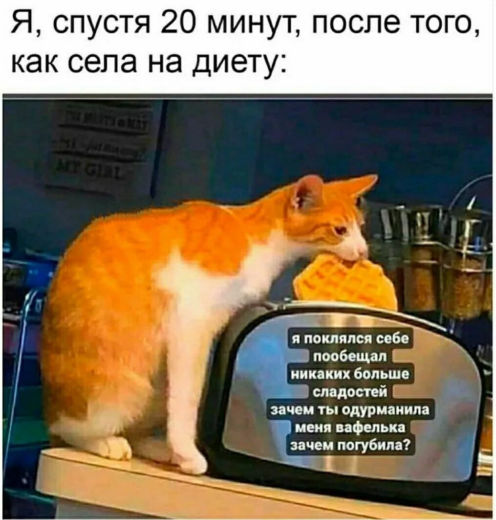 Пин от пользователя jukk 