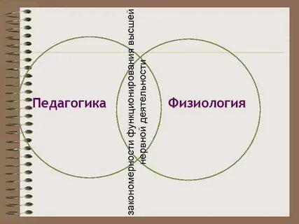 Физиология педагогики