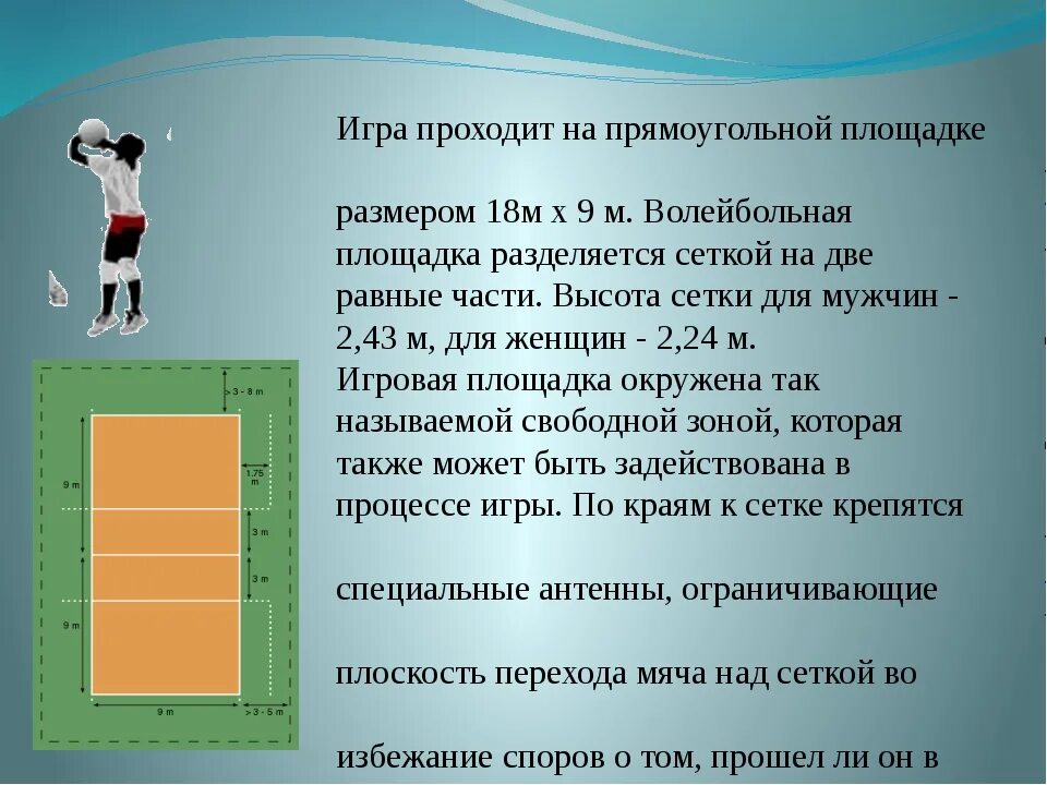 Волейбол рост. Высота волейбольной сетки для мужчин и женщин. Размер сетки в волейболе для мужчин и женщин. Высота сетки для девушек в волейболе.