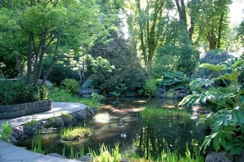 Вода садов