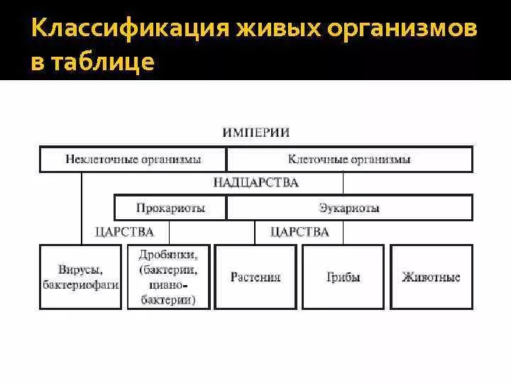 Систематические группы и классификация организмов. Схема классификации организмов. Схема современной классификации организмов. Систематическая группа живых организмов