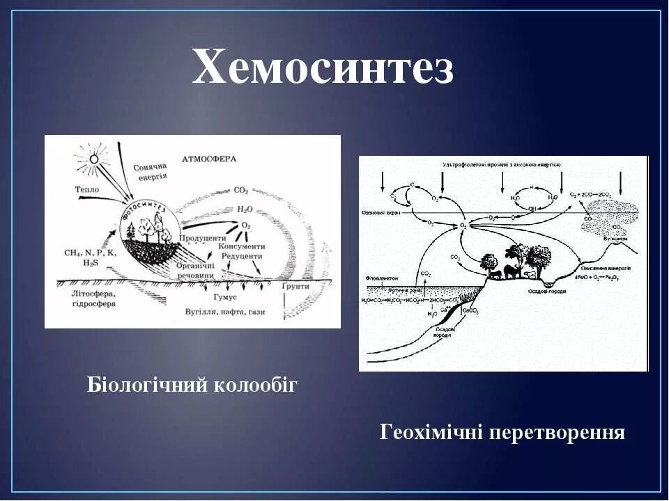 Хемосинтез источник. Хемосинтез схема. Процесс хемосинтеза. Механизм хемосинтеза. Хемосинтез рисунок схема.