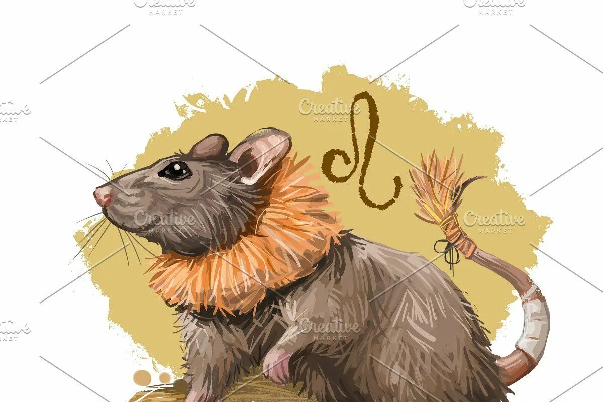 Крыса в знаке близнецы. Крысы близнецы. Астрология. Крысы близнецы. Крыса весы.