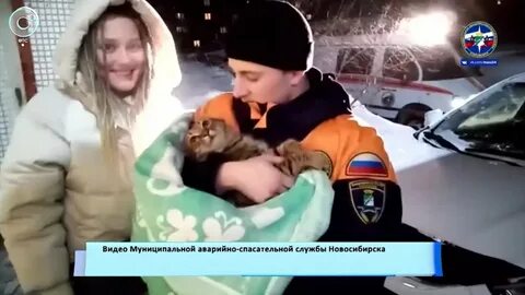 Девушка спасла кота