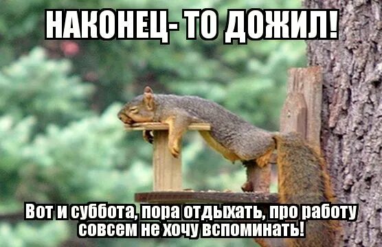 Вот и выходные. Суббота приколы. Открытка наконец то. Приколы про субботу в картинках. Наконец будет мир