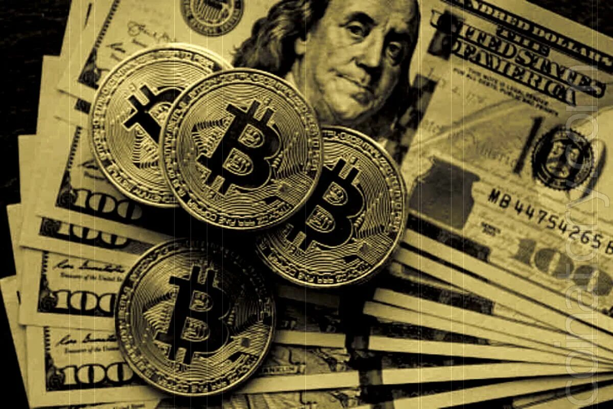 Возьми мои деньги мем. Деньги креатив. Скидки на игры. Money take us to. Шат ап энд тейк май мани.