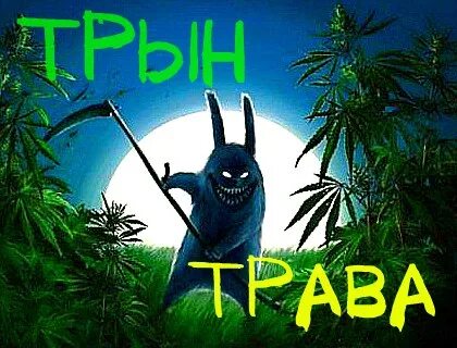 Трын трава