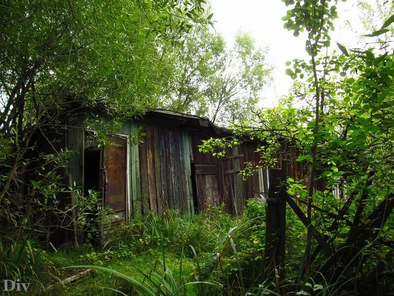 Евграфова 7. 21. Улица евграфова всеволожск. Дом на евграфова всеволожск. Дом на евграфова всеволожск.