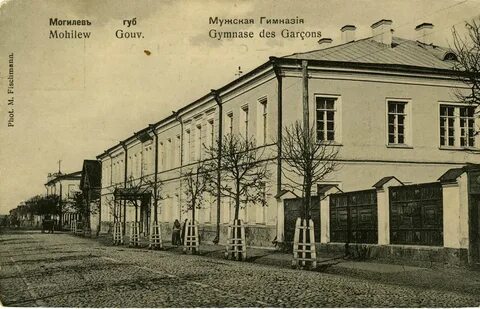 Развитие могилева