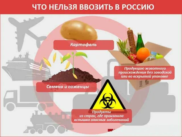 Ввоз запрещенных продуктов. Что запрещено ввозить в Россию. Что нельзя ввозить в Россию. Нормы провоза продуктов через границу. Ввоз продуктов в РФ.