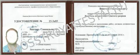 Водитель 5 разряда