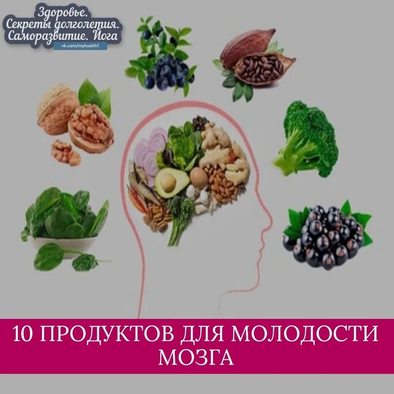 Еда от деменции. Продукты для долголетия. Продукты для профилактики болезни Альцгеймера. Продукты для молодости. Продукты для здоровья молодости и долголетия.