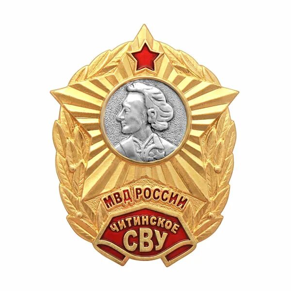 Значок училища СВУ. Знак "Суворовское военное училище" (СВУ) СССР. Знак Читинское СВУ. Значок Суворовского военного училища. Сву как расшифровывается