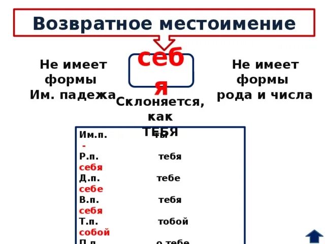 Какое местоимение не имеет именительного падежа. Формы возвратного местоимения себя. Возвратные местоимения. Возвратное местоимение себя не имеет рода и числа. Возвратное местоимение себя не имеет.