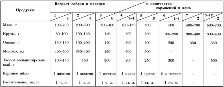 Сколько раз кормить щенка в 1 месяц. Рацион кормления щенка немецкой овчарки 1.5 месяца. Рацион кормления щенка немецкой овчарки 1 месяц. Таблица кормов щенка немецкой овчарки. Рацион кормления щенка в 4 месяца кавказской овчарки.