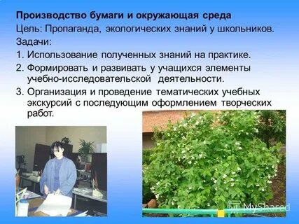 Экологические знания школьников