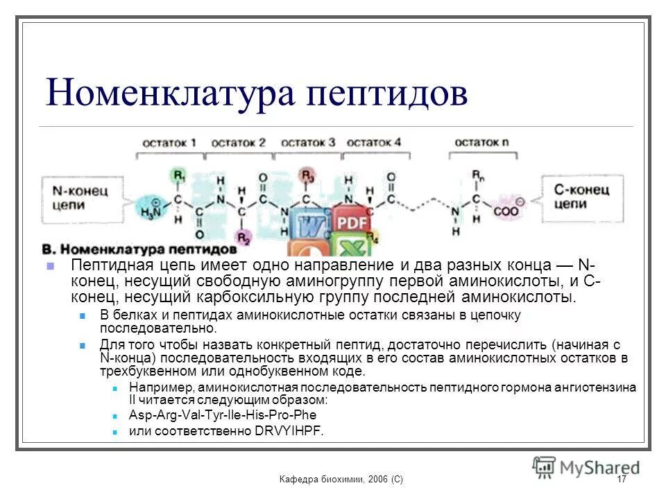 Что такое биохимия. Номенклатура белков биохимия. формулы пептидов биохимия таблица. пептиды классификация пептидов. пептиды олигопептиды полипептиды белки.