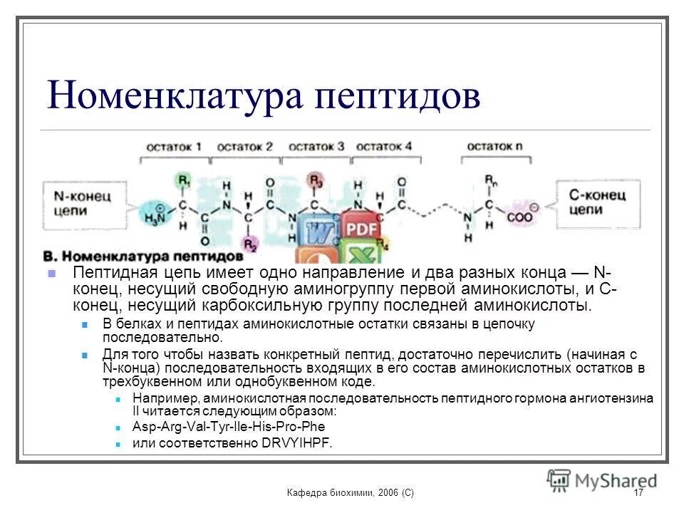 Гидролизу подвергаются полипептиды. Пептидный остов биохимия. Номенклатура аминокислот биохимия. Номенклатура пептидов. Пептиды номенклатура биохимия.