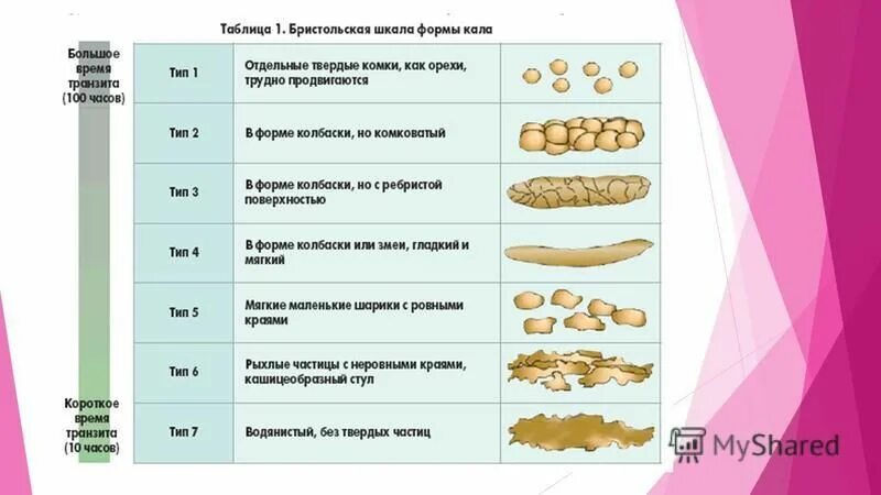 Какого цвета кал в норме у взрослых. Какого цвета кал в норме у взрослых