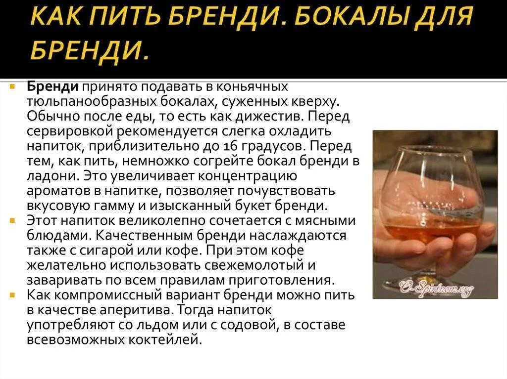 Как пить в 1 раз. Как правильно пить бренди и с чем. Бренди это что за напиток с чем пьют. С чем пить бренди правильно. Как пьется бренди.