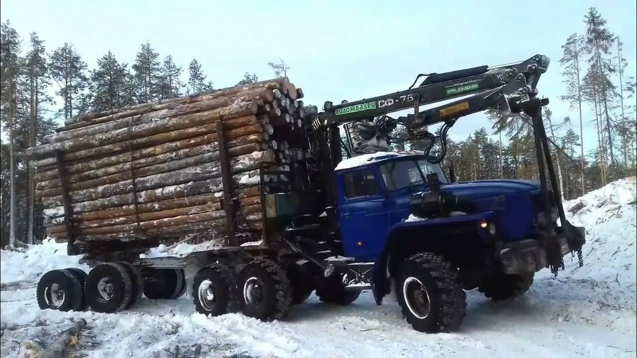 Урал камаз работа. Урал фискарс лесовоз. урал 4320 хлыстовоз. урал 4320 лесовоз сортиментовоз. урал 43204-41 лесовоз.