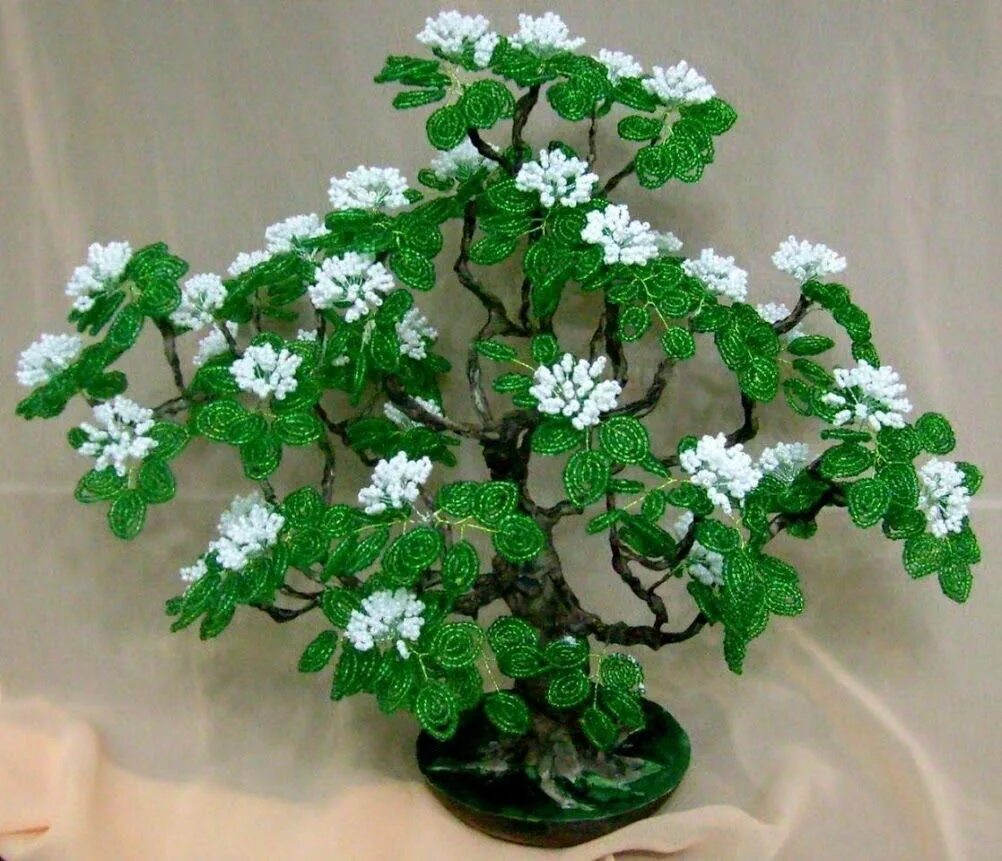 Что сплести из белого бисера. Цветы из бисера. Бисероплетение жасмин. Бисероплетение мастер класс. Плетение бисером цветы.