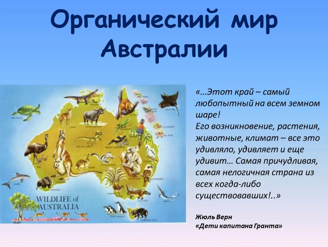 Сведения о Австралии. Австралия для детей. Презентация на тему Австралия. Австралия материк для детей. Покажи страну австралию