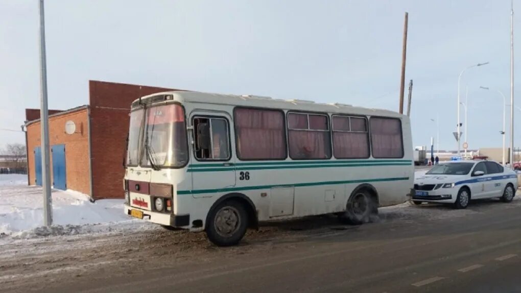 Водитель автобуса паз. Водитель ПАЗИКА. Водитель ПАЗИКА женщина. Водитель ПАЗ фото.