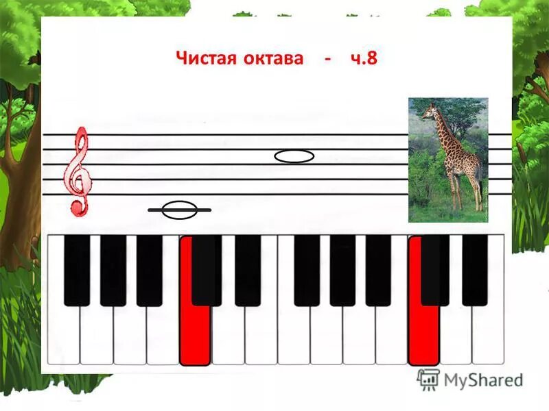 клавиатура пианино 4 октавы. октавы сольфеджио. сольфеджио для самых маленьких. интервал терция малая и большая. сольфеджио октава.
