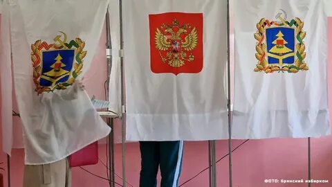 Выборы в брянскую областную думу