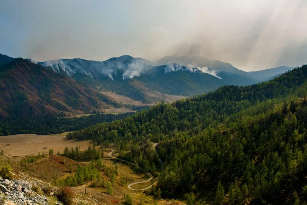 Алтай край площадь