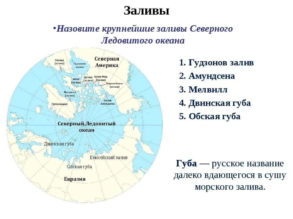 Наибольшие заливы северного ледовитого океана