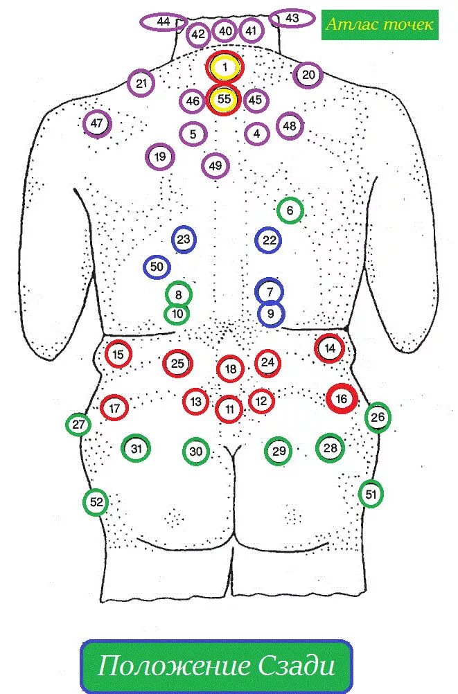 Хиджама точки по Сунне атлас точек. Хиджама кровопускание схема атлас точек. Сухая хиджама атлас точек. Атлас хиджама точки геморрой. Банки при простуде на спину