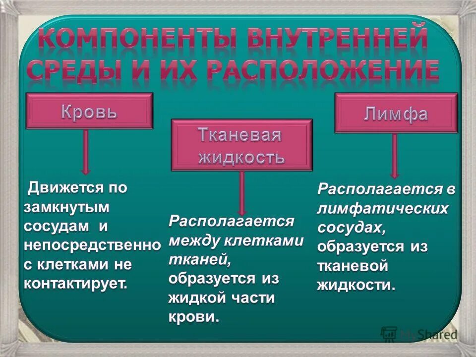 Функции межклеточной жидкости. Тканевая жидкость. Кровь лимфа тканевая жидкость. Тканевая жидкость образуется из. Лимфа образуется из тканевой жидкости.